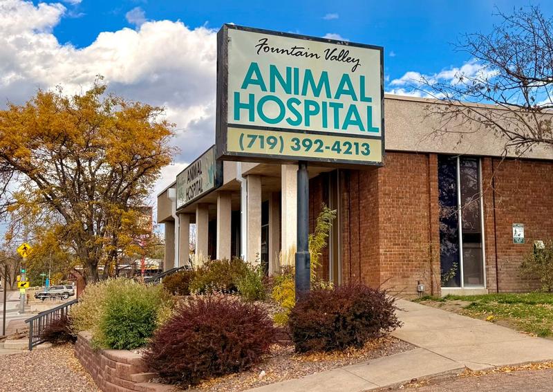 Carousel Slide 2: Learn more about us!