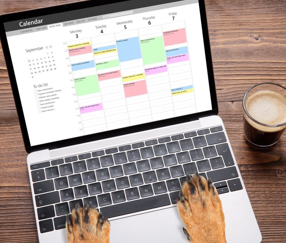 Book An Appointment Fountain Valley Animal Hospital