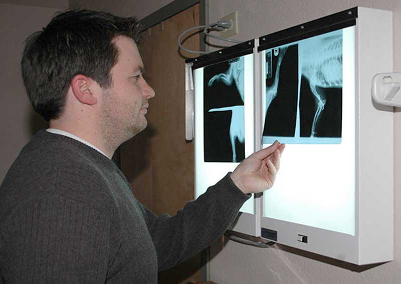 Carousel Slide 3: Pet digital x-rays