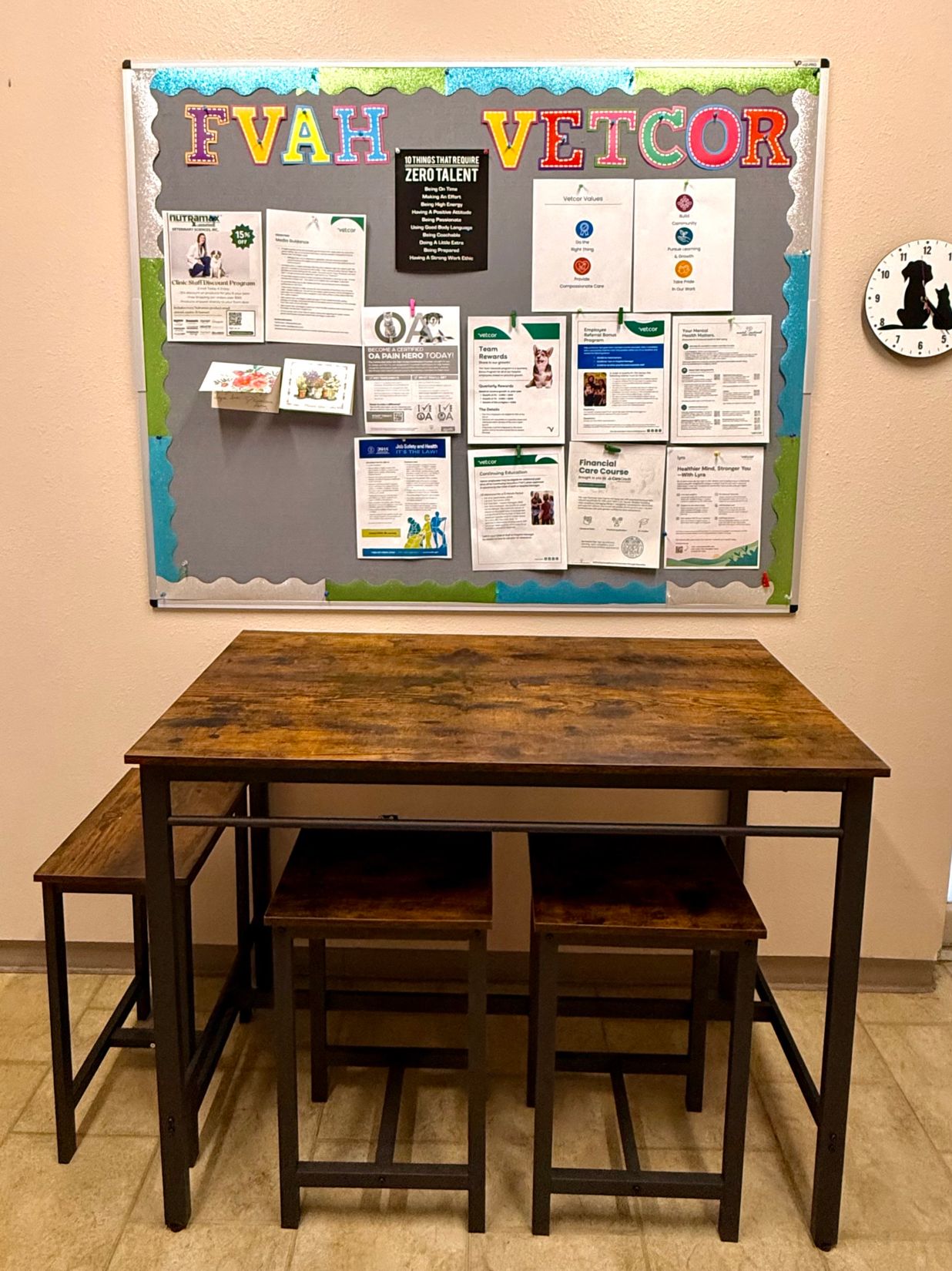 puppy vet colorado springs