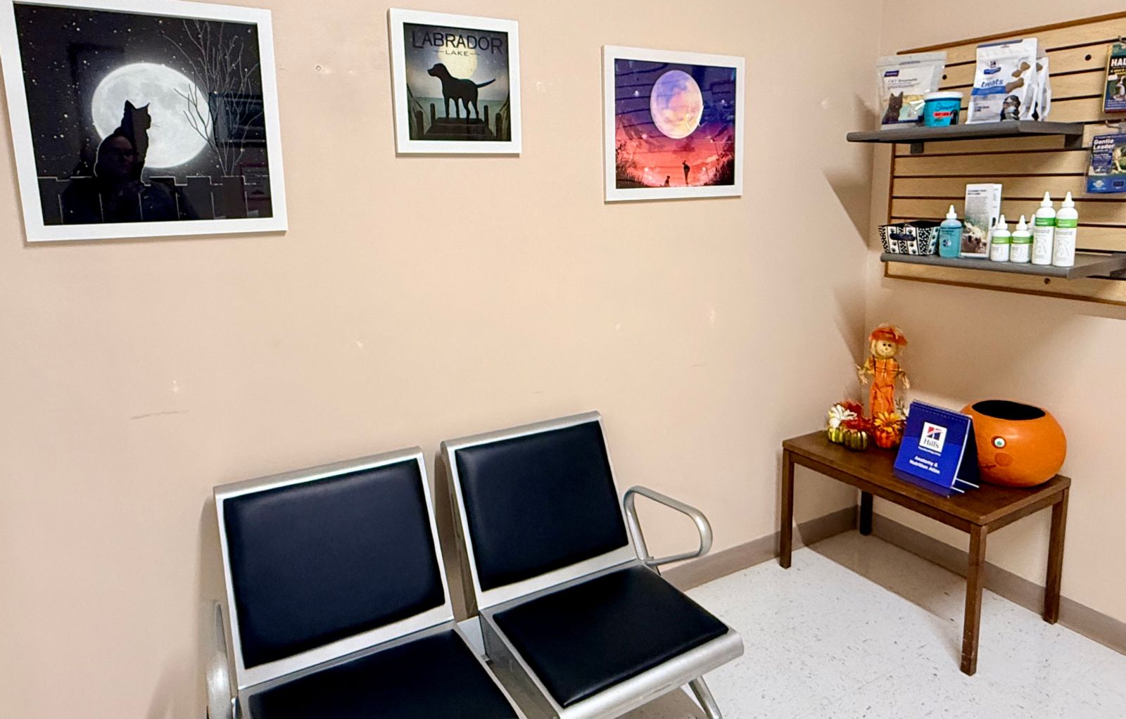 vet clinic colorado springs