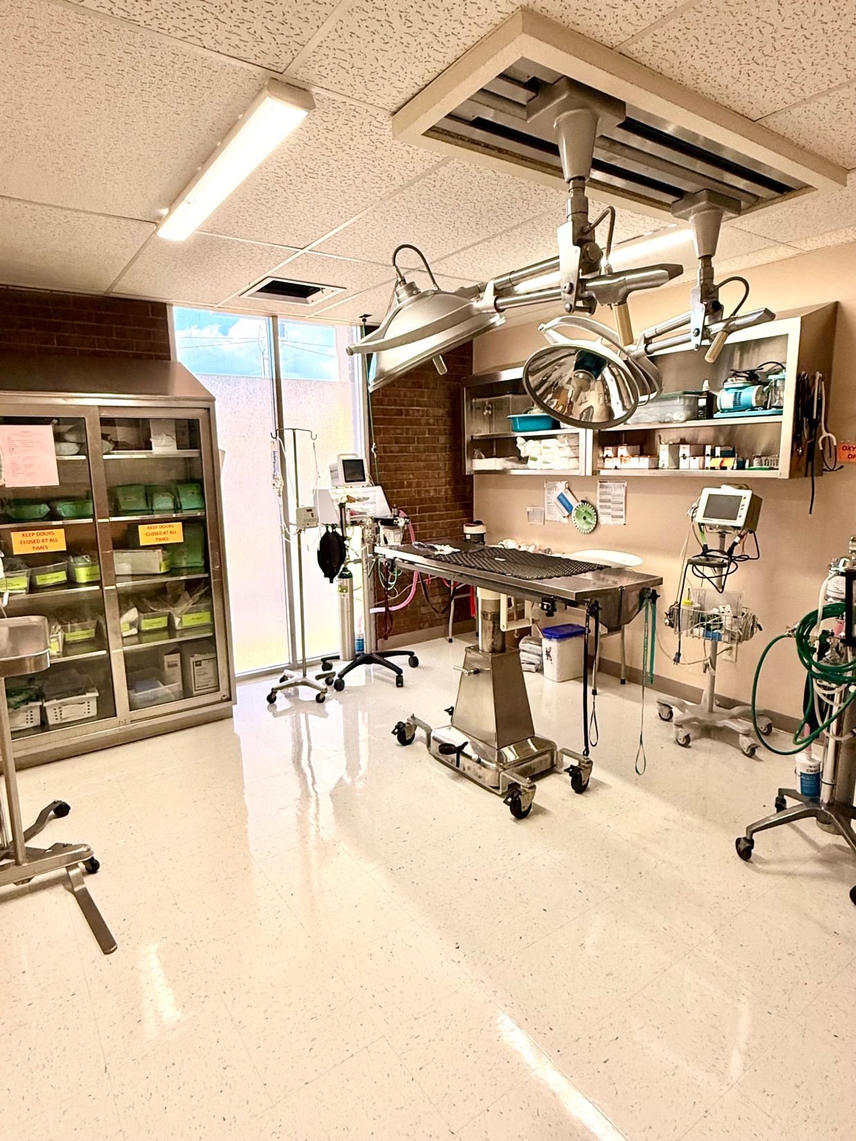 pet vet colorado springs