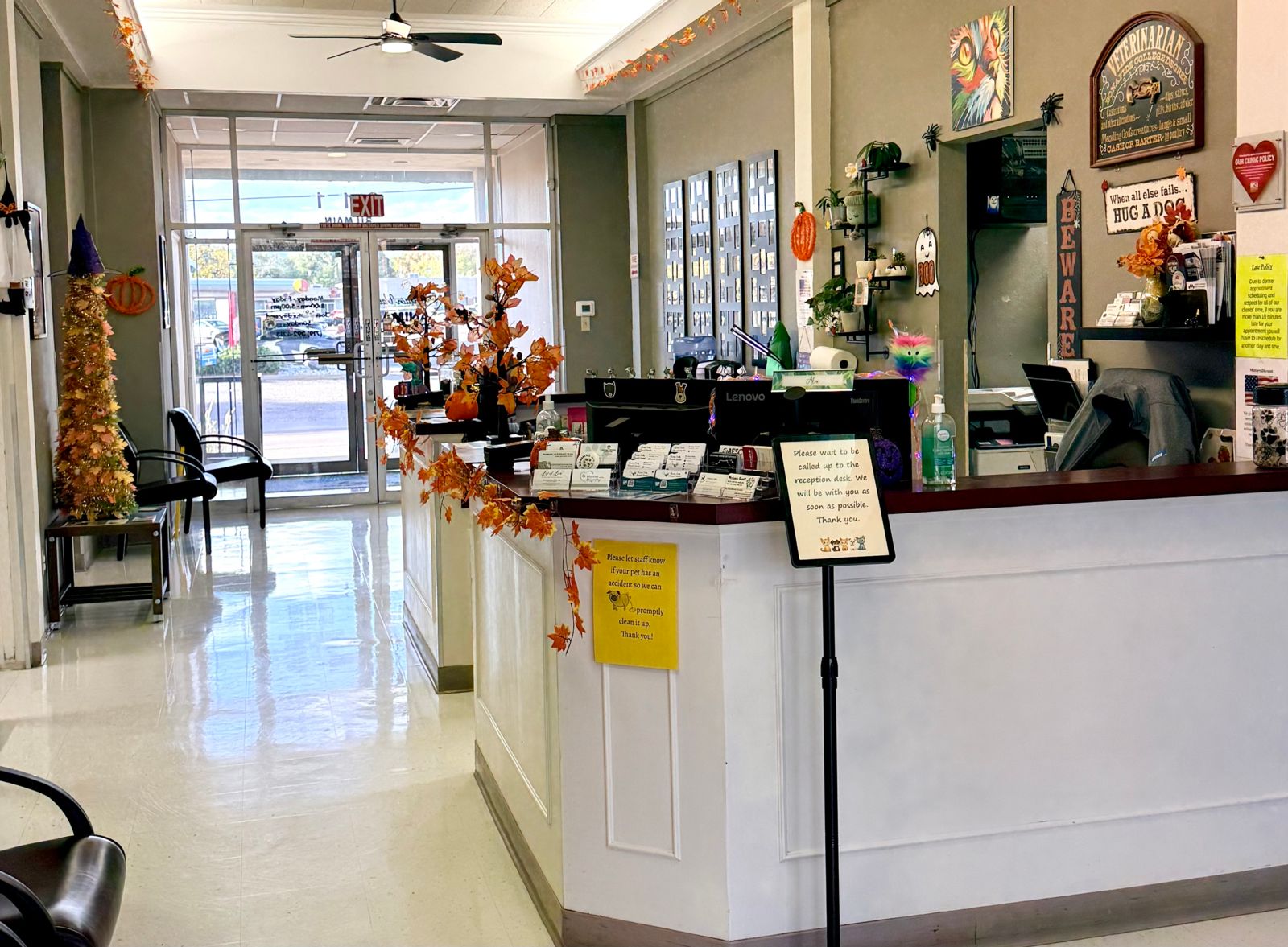 vet colorado springs