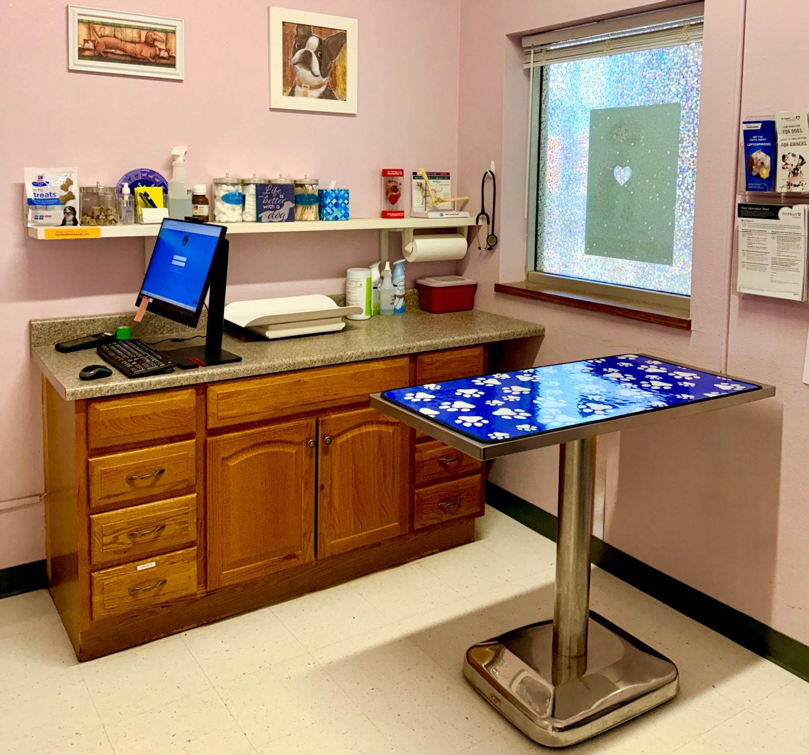 animal hospital colorado springs