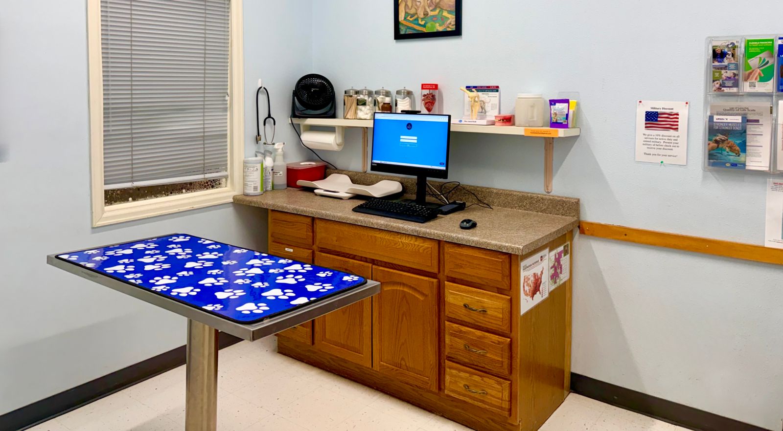 vet colorado springs CO