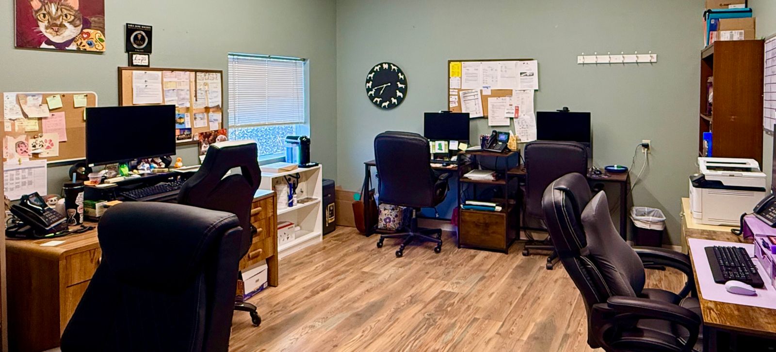 dog vet colorado springs