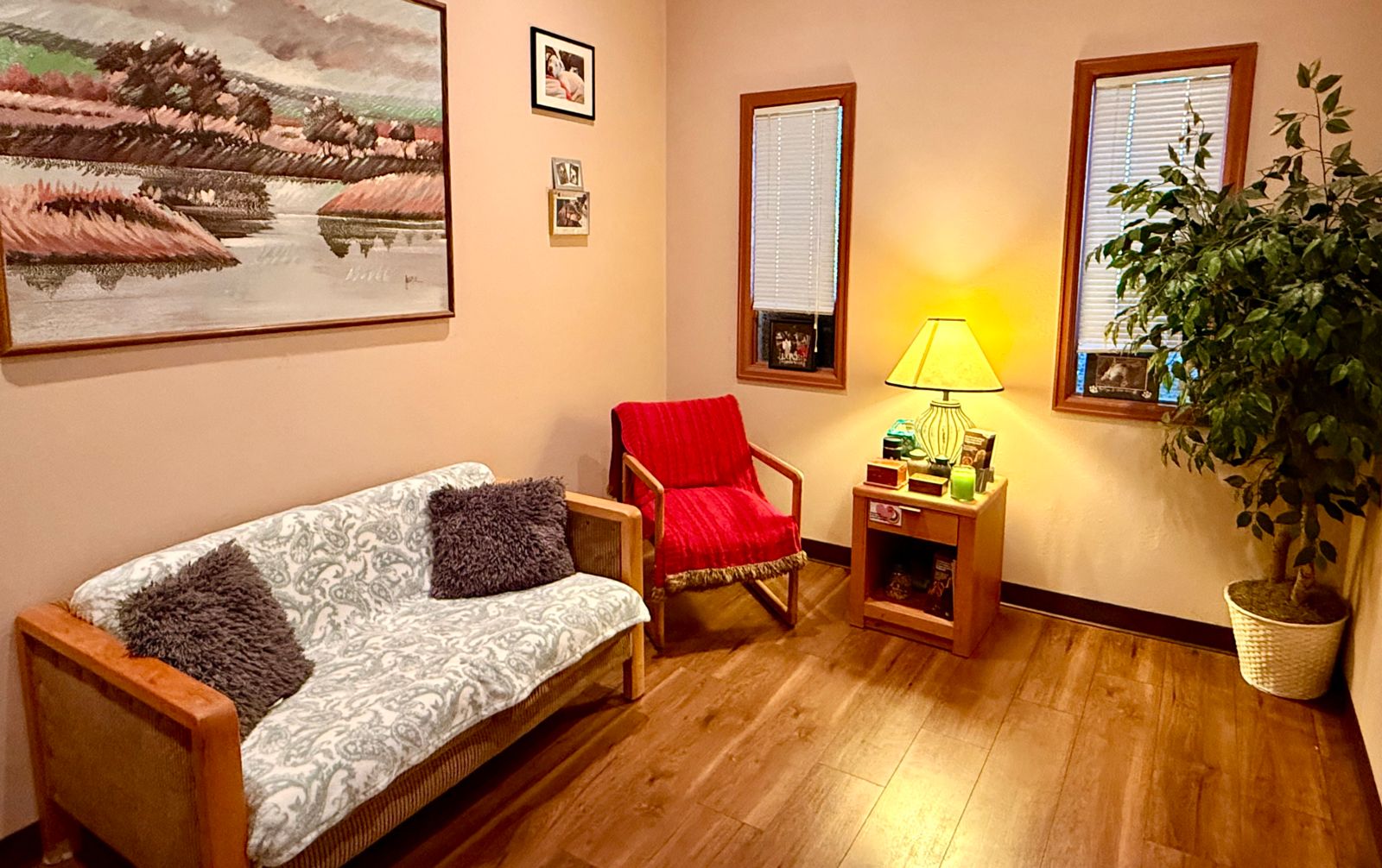 vet near me colorado springs